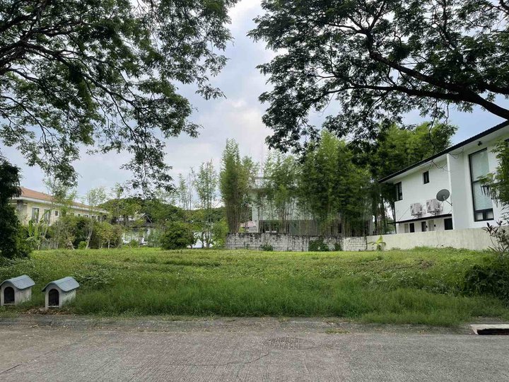 Residential Lot For Sale in Las Pinas 435 sqm