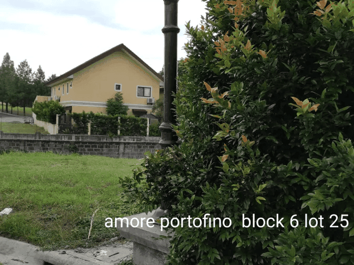 Residential Lot for Sale at Amore at Portofino, Las Pinas City