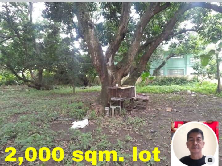 We are selling Residential Farm Lot here in Plaridel, Bulacan