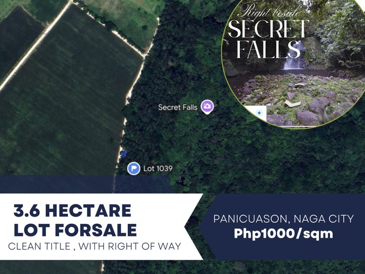 Farmlot beside Naga Citys Secret Falls