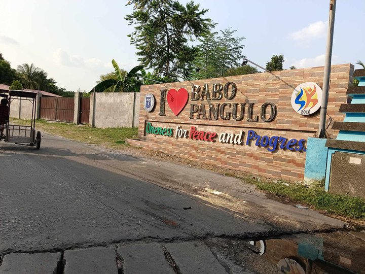 Ready to Use Prime Lots for Sale in Babo Pangulo Porac Pampanga