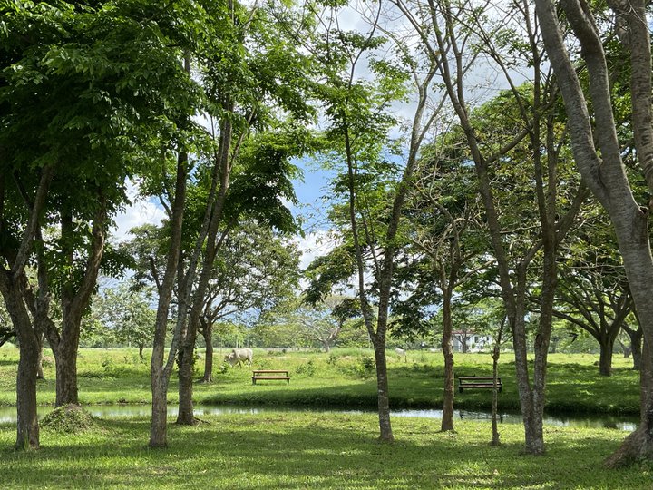Residential Farm Lot For Sale in Hacienda Escudero