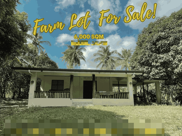 FARM LOT IN BAILEN, CAVITE WITH REST HOUSE