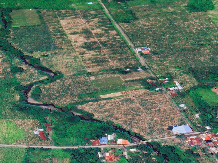 A banana farm currently rented and ready for use looking for a new tenant by the end of May 2025.