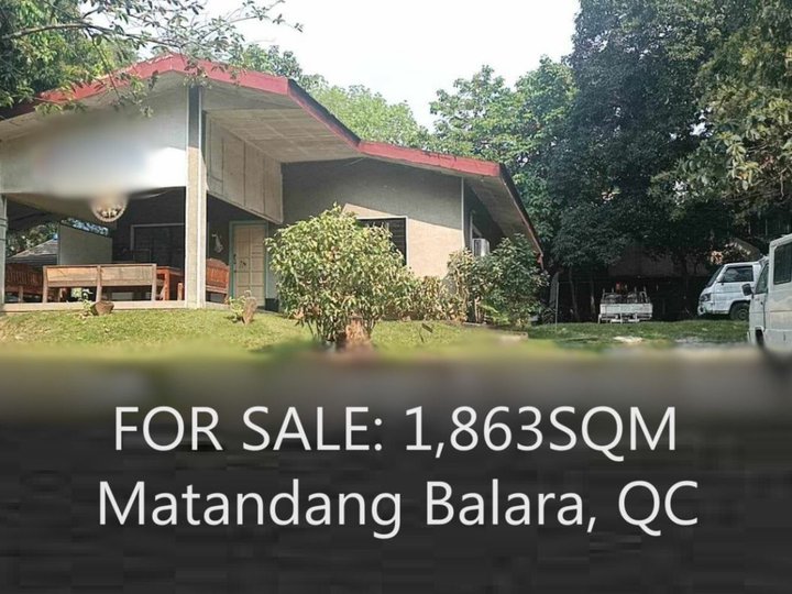 1,800sqm LOT Matandang Balara Quezon City