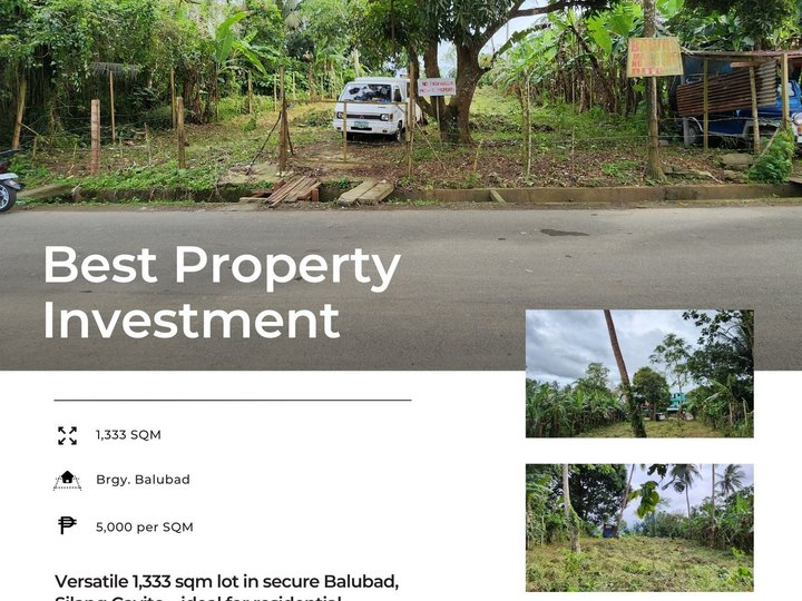 1,333 sqm Farm For Sale in Silang Cavite