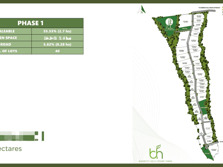 1,250 sqm Farm Lot For Sale in Nasugbu Batangas