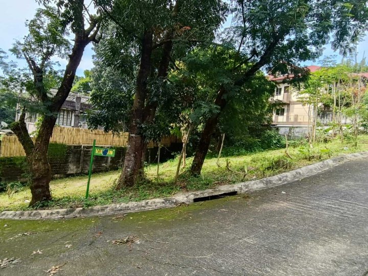 268 sqm Lot For Sale in Antipolo Rizal