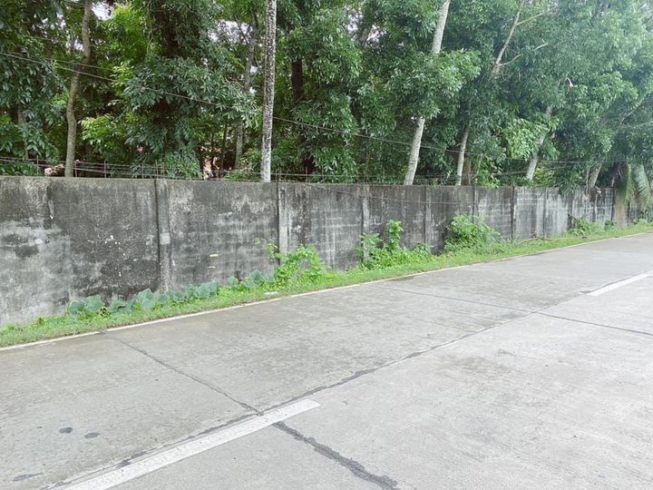 5 hectares Prime Property  For Sale in Barotac Nuevo Iloilo