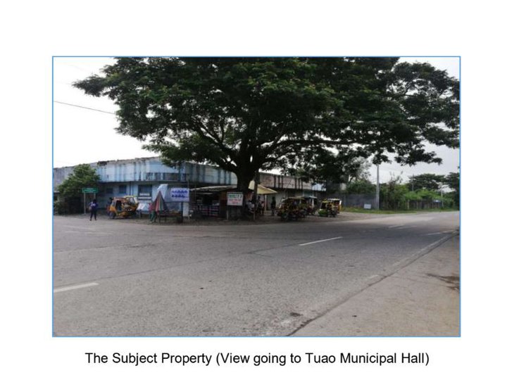 39,795.00 sqm Commercial Lot For Sale Tuao, Cagayan
