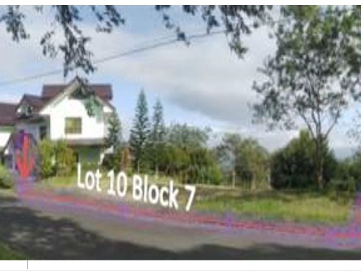 Foreclosed 753.00 sqm Residential Lot For Sale in Tanauan Batangas