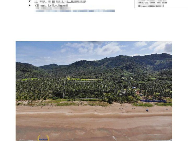 So. Dagmay, El nido, Palawan Lot Area: 2-hectare sqm