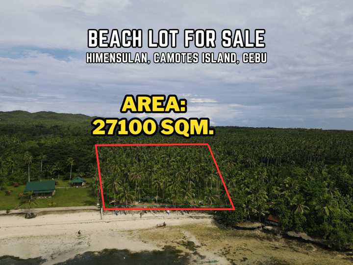 Pristine White Sand Beach Lot for Sale in Himensulan, Camotes Island