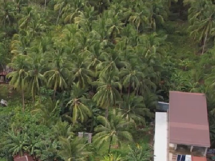 White Sand Beach Lot with complete clean title