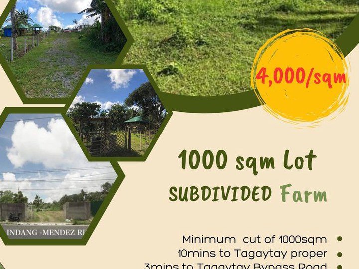 1000sqm Residential Farm Lots in Indang