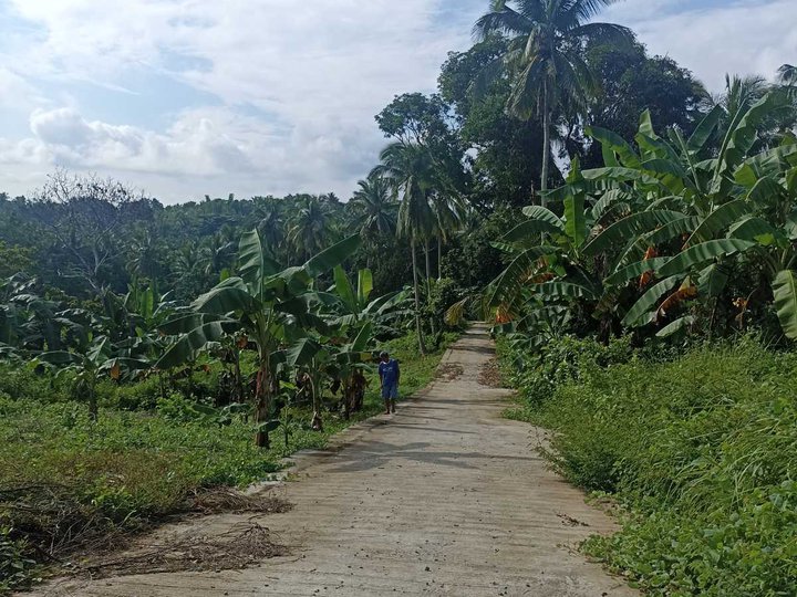 1000 sqm Residential Farm For Sale in Magallanes Cavite