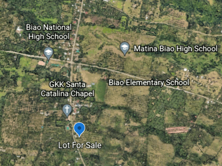 19,711 SQM FARM LOT Biao Escuela Davao City