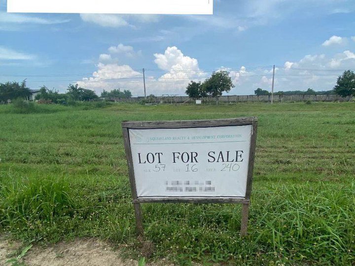 240 sqm Dizon Estate Residential Lot For Sale Blk57 Lot 16,San Agustin