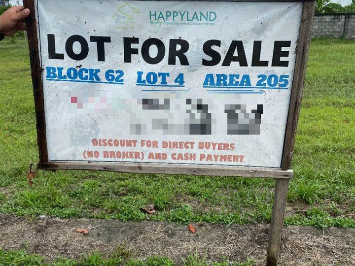 205 sqm Dizon Estate Residential Lot for Sale Blk 62 Lot 4 San Agustin