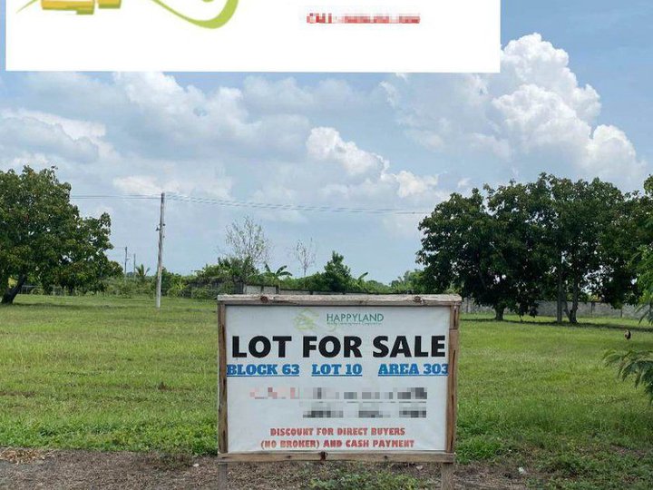 303sqm Dizon Estate Residential Lot For Sale Blk63 Lot 10,San Agustin