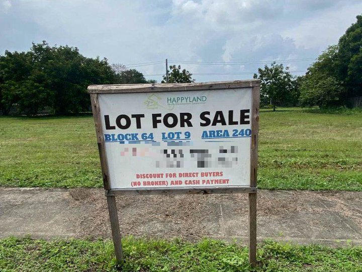 240 sqm Dizon Estate Residential Lot for Sale Blk 64 Lot 9 San Agustin