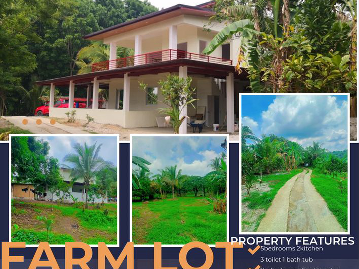 1.02 hectares Residential Farm For Sale in Nuvali Cabuyao Laguna and Tagaytay Road