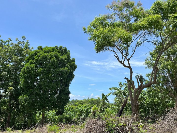 Boracay Island mountaintop property lot with 360 view and beach view for sale, Philippines