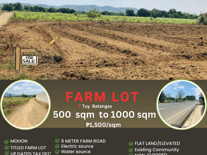 500 sqm Farm Lot For Sale in Tuy Batangas