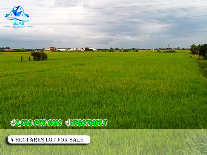 DISCOUNTED 4 HECTARES RAW LAND FOR SALE IN CONCEPCION TARLAC - 2,500 PER SQM