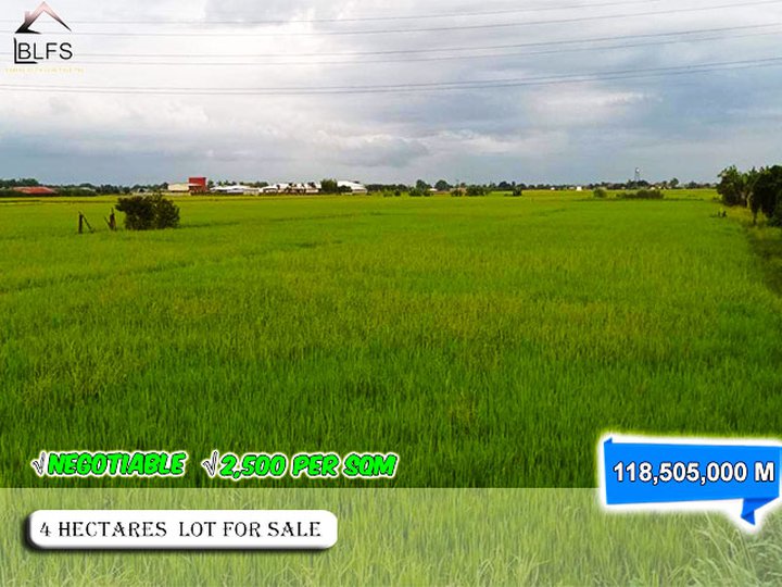 DISCOUNTED 4 HECTARES RAW LAND FOR SALE IN CONCEPCION TARLAC - 2,500 PER SQM