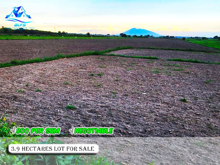 3.9 Hectares Vacant Lot for Sale in San Juan Concepcion Tarlac - P800 per sqm