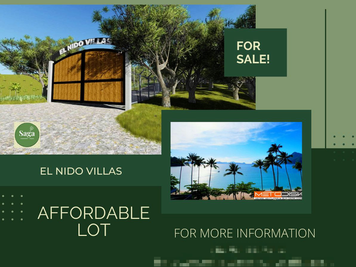 100 sqm Residential Farm For Sale in Brgy Sibaltan El Nido Palawan [Lot
