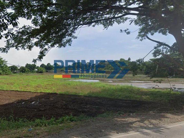 Highly Visible Commercial Lot For Lease in Santa Maria Bulacan