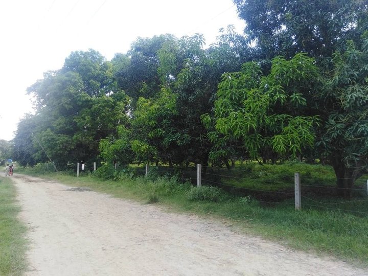 2.1 hectares Farm Lot For Sale in Cagayan De Oro Misamis Oriental