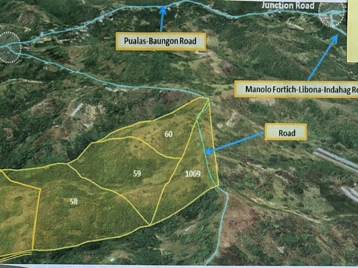 17 hectares Residential Farm For Sale in Pualas, Baungon Bukidnon