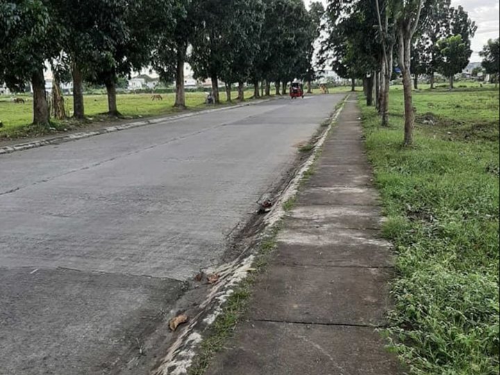 170sqm Residential Lot For Sale in San Mateo Rizal