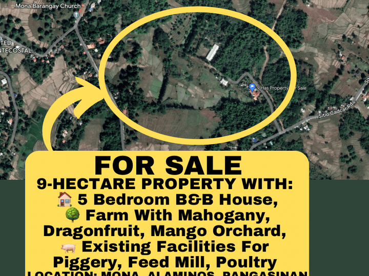 9-Hectare Farm With B&B House Orchard For Sale Alaminos Pangasinan