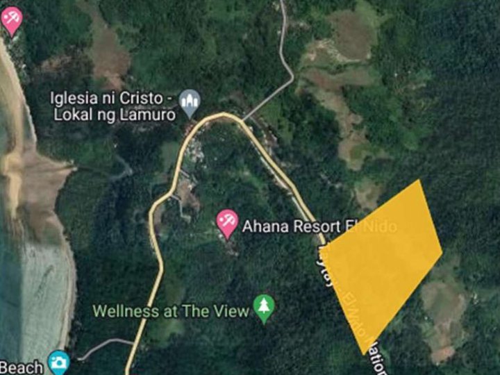 16.5 hectares Commercial Lot For Sale by Ayala Land in Brgy. Pasadena El Nido Palawan