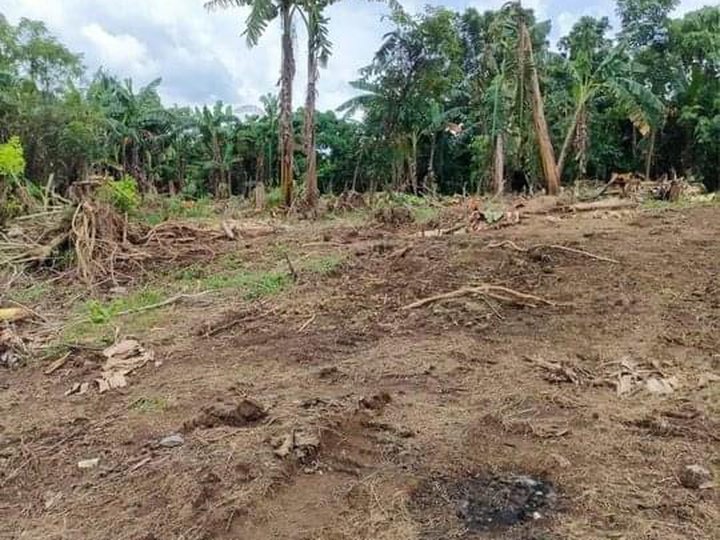 Small Cut Residential Lot For Sale Indang Cavite