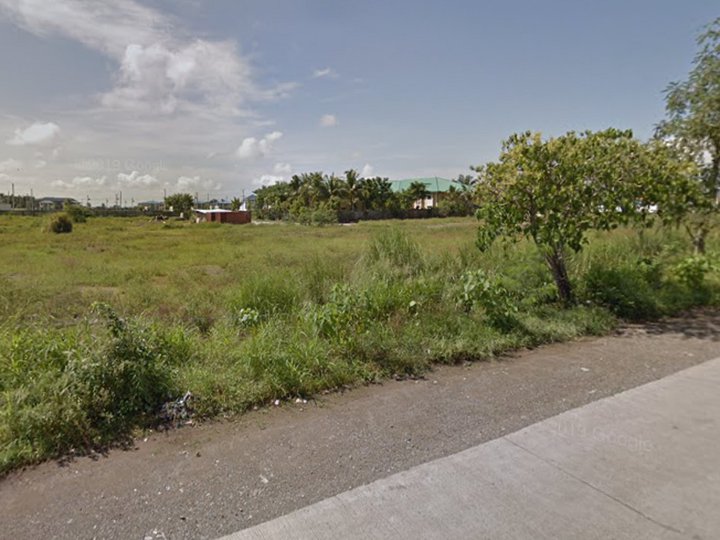 Raw Land or Lot for Sale in Cabanatuan Nueva Ecija