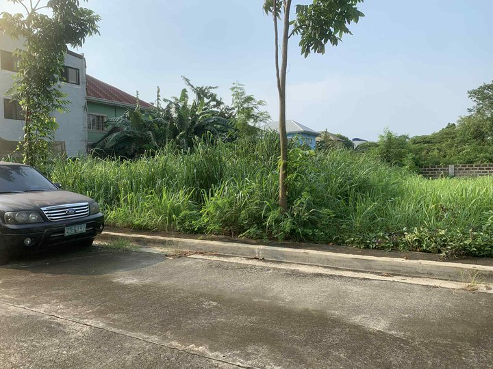 258 sqm Residential Lot For Sale in Cainta Executive Village Cainta Rizal