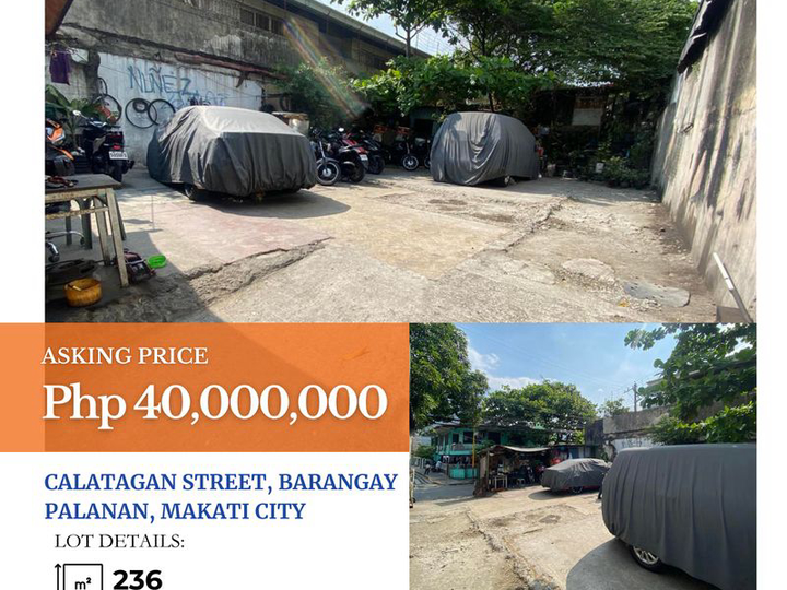 For Sale: Vacant Lot in Calatagan St., Palanan. Makati City