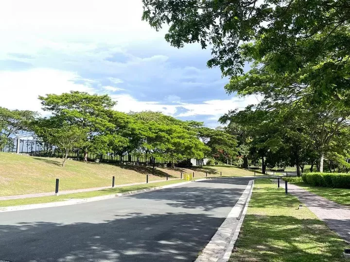 Build Your Masterpiece: Rare 386 sqm Premium Estate Lot at Caleia, Vermosa!