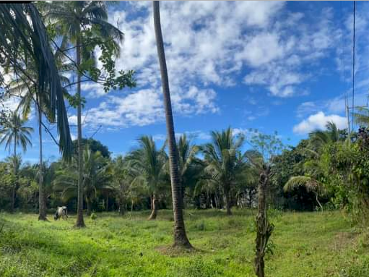 1800 sqm Residential Farm For Sale in Alfonso Cavite