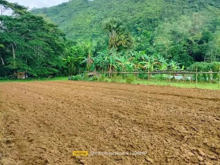 6 hectares  farm lot at Cambinocot Cebu City 150/sqm