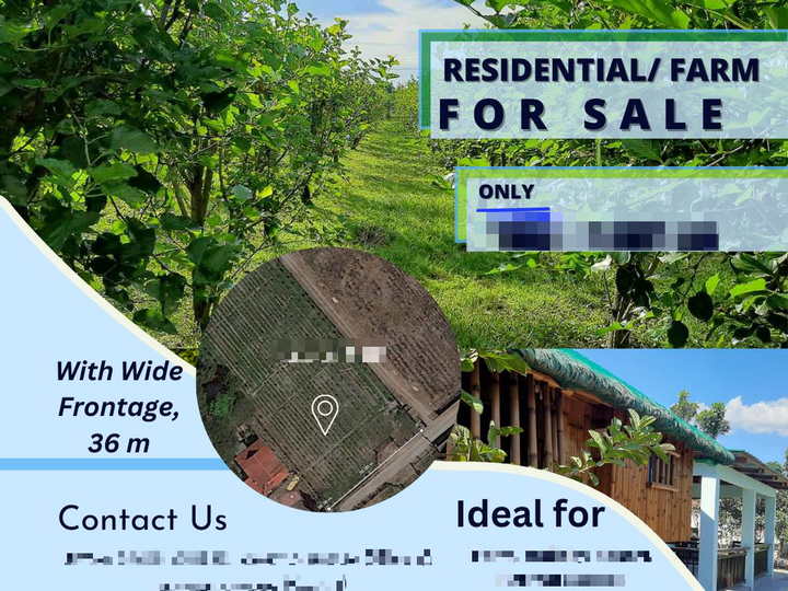 11,542 sqm Residential Farm Lot For Sale in Magalang, Pampanga