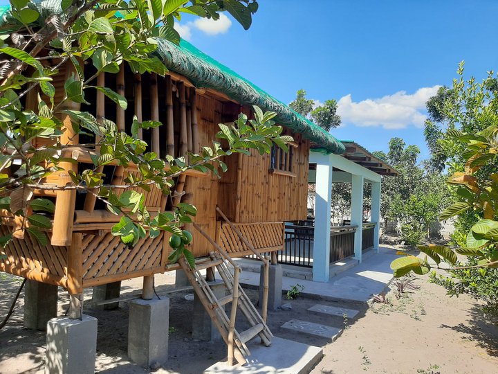 For Sale 25,990 sqm Residential Fruit Farm Lots in Magalang, Pampanga