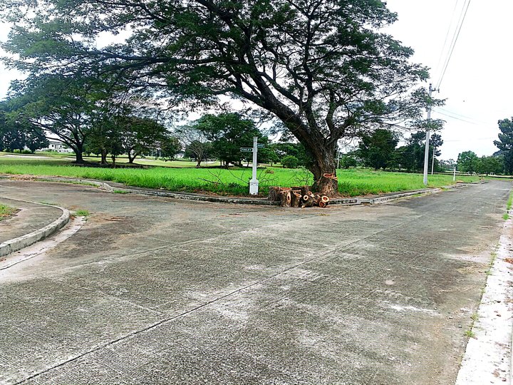 Beverly Place 461 sqm Residential Lot For Sale in Mexico Pampanga