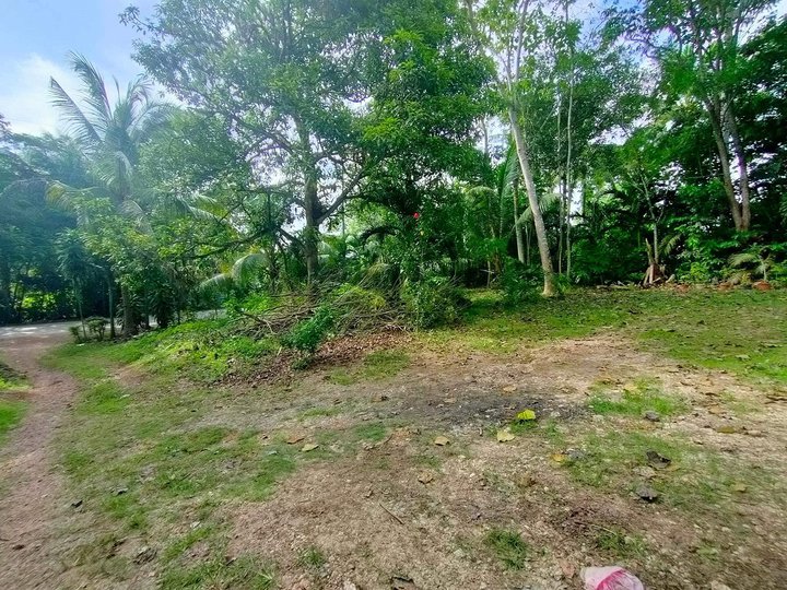 791 sqm Residential Lot For Sale in Samal Davao del Norte