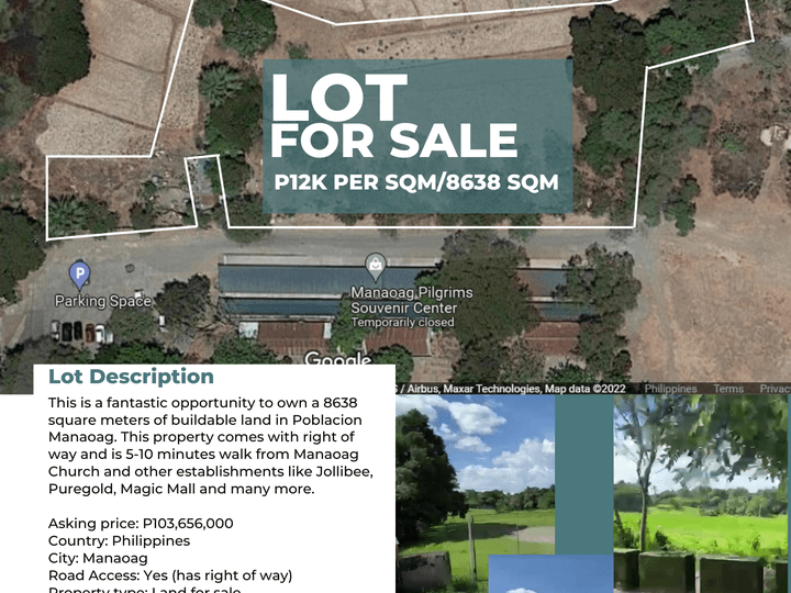 8638 sqm Raw Land For Sale in Manaoag Pangasinan